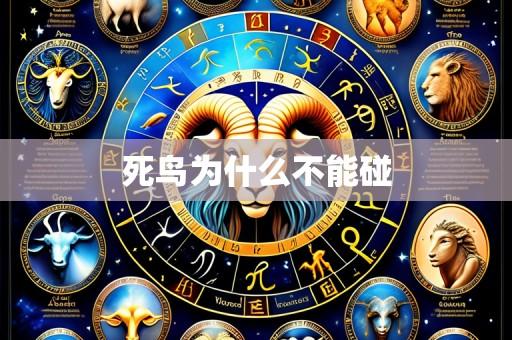 死鸟为什么不能碰