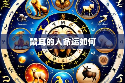 鼠耳的人命运如何
