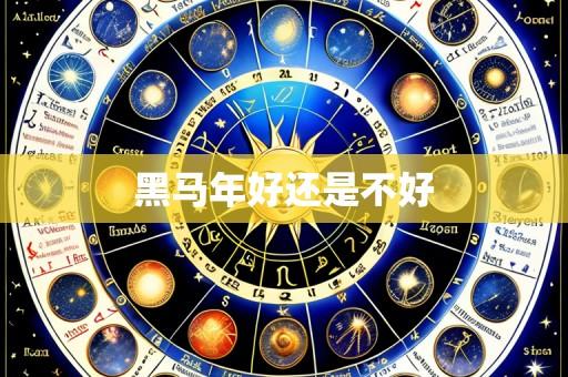 黑马年好还是不好