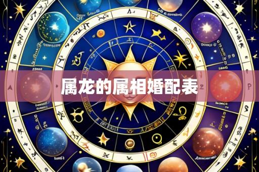 属龙的属相婚配表