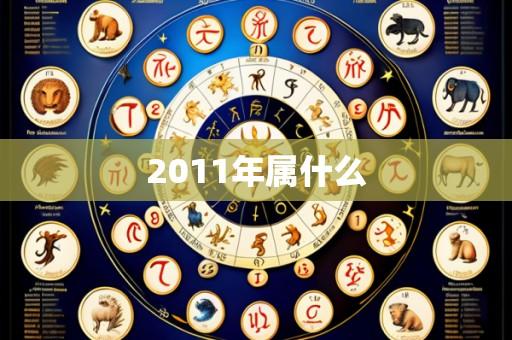 2011年属什么