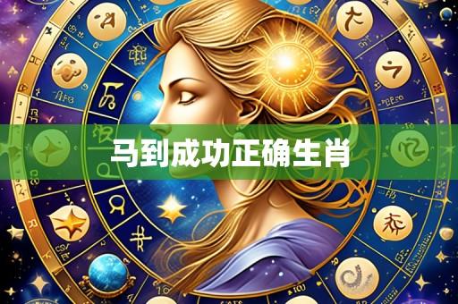 马到成功正确生肖