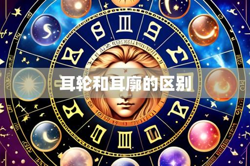 耳轮和耳廓的区别