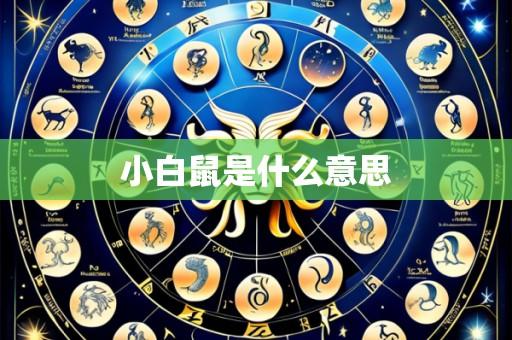 小白鼠是什么意思