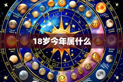 18岁今年属什么