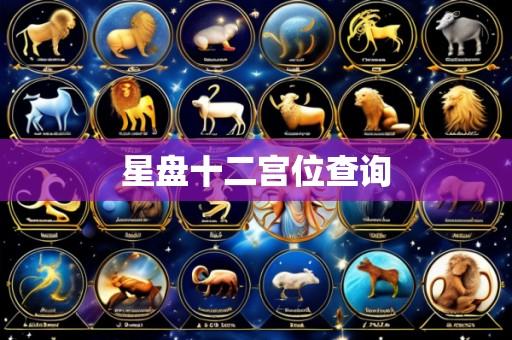 星盘十二宫位查询