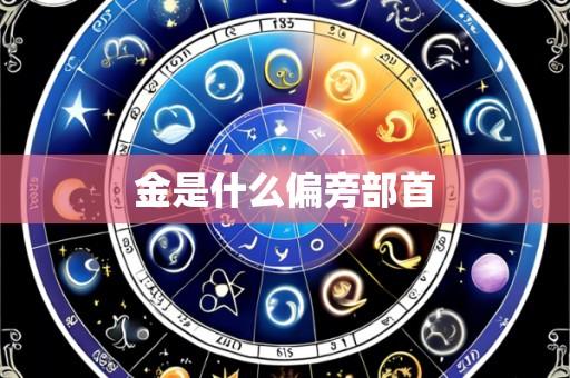 金是什么偏旁部首