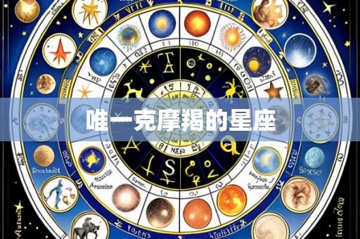 唯一克摩羯的星座