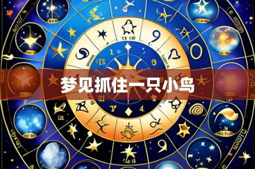 梦见抓住一只小鸟