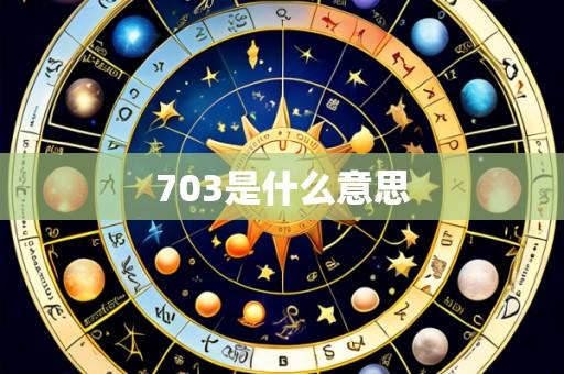 703是什么意思