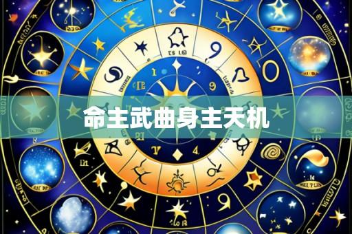 命主武曲身主天机