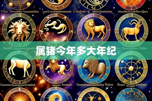 属猪今年多大年纪