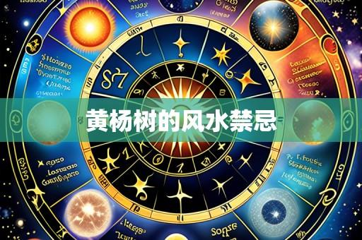 黄杨树的风水禁忌