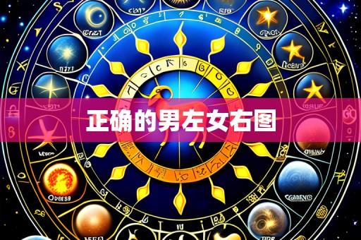 正确的男左女右图