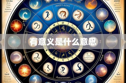 有意义是什么意思