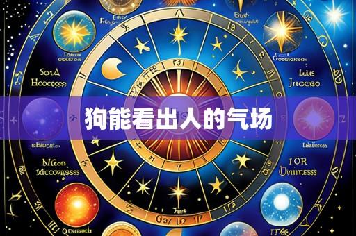 狗能看出人的气场