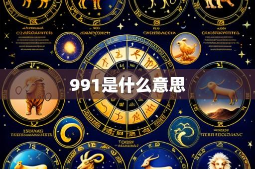 991是什么意思