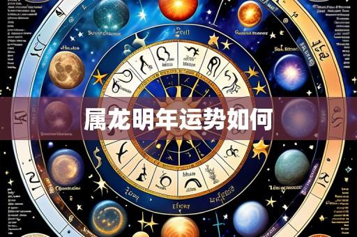 属龙明年运势如何