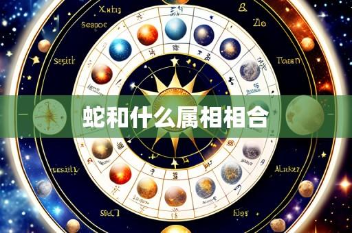 蛇和什么属相相合