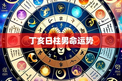 丁亥日柱男命运势