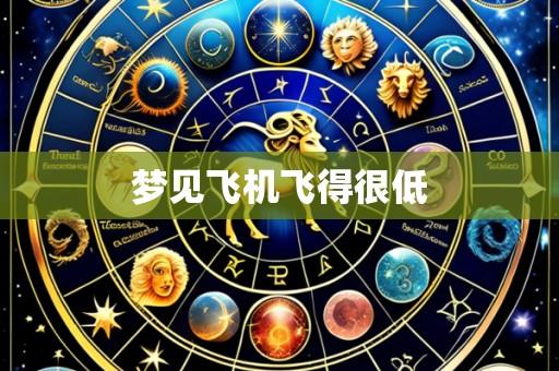 梦见飞机飞得很低
