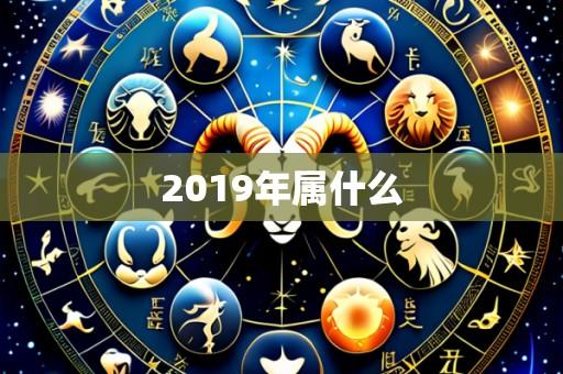 2019年属什么