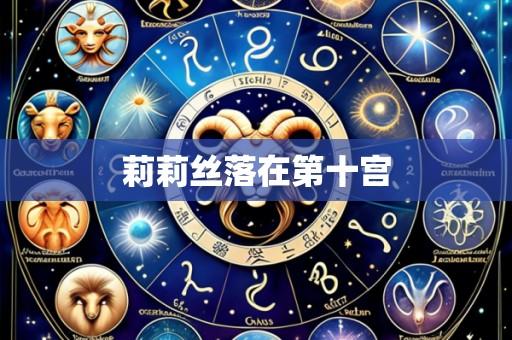 莉莉丝落在第十宫