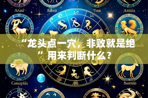 “龙头点一穴,非败就是绝”用来判断什么?