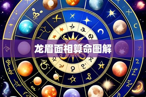 龙眉面相算命图解