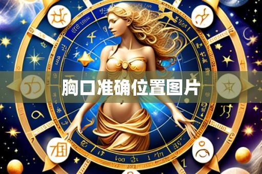 胸口准确位置图片