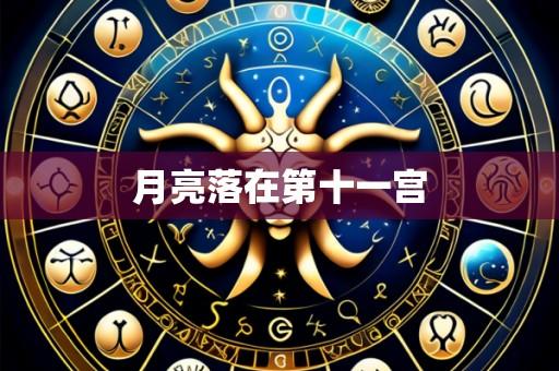 月亮落在第十一宫