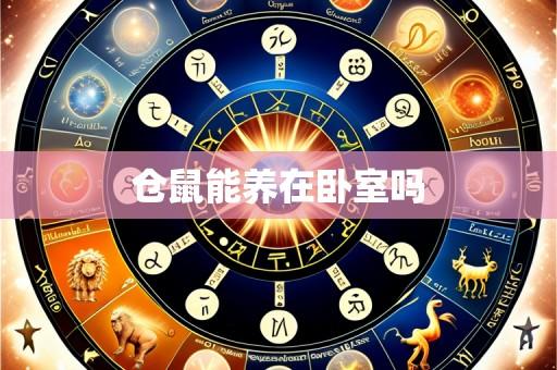 仓鼠能养在卧室吗