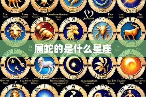 属蛇的是什么星座