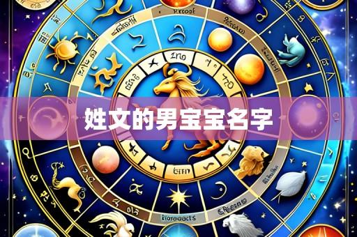 姓文的男宝宝名字