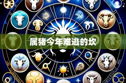 属猪今年难逃的坎
