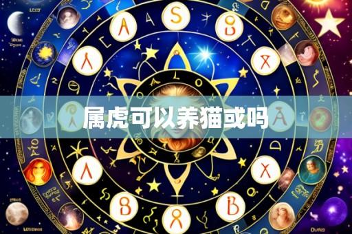 属虎可以养猫或吗