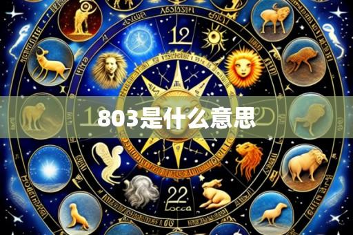 803是什么意思