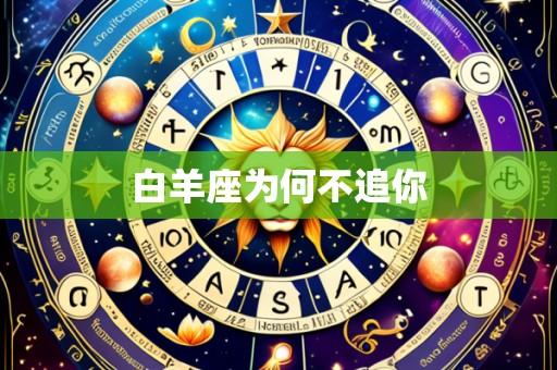 白羊座为何不追你
