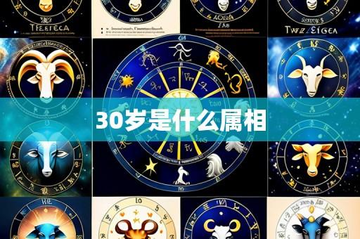 30岁是什么属相