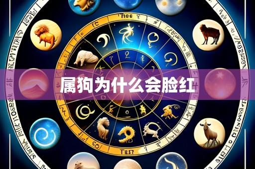 属狗为什么会脸红