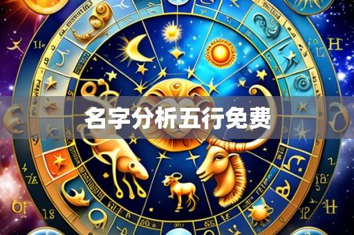名字分析五行免费