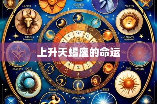 上升天蝎座的命运