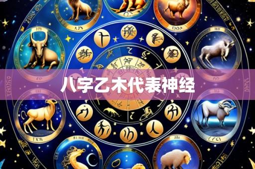 八字乙木代表神经