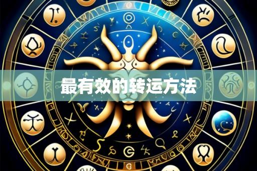 最有效的转运方法