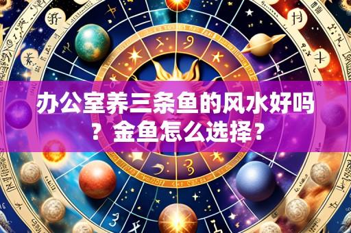 办公室养三条鱼的风水好吗?金鱼怎么选择?