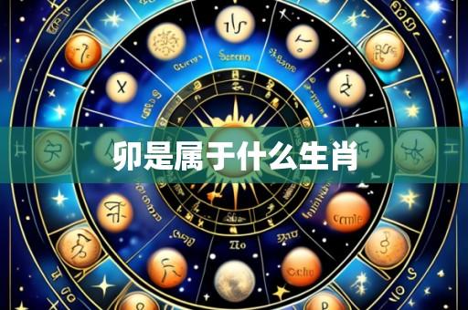 卯是属于什么生肖