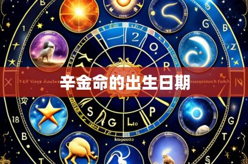 辛金命的出生日期