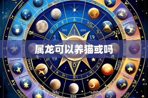 属龙可以养猫或吗