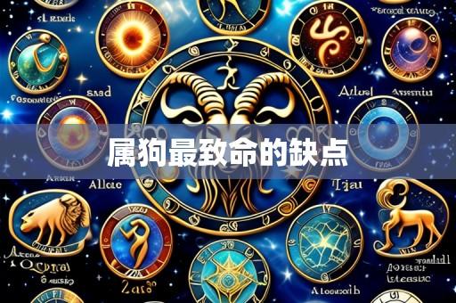 属狗最致命的缺点
