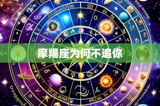 摩羯座为何不追你
